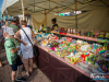 1728img_8240