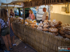 1729img_8248