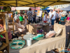 1729img_8251
