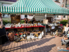 1736img_8279