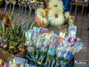 IMG_4724