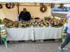IMG_4752