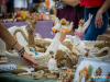 1248img_9693_08_06_2017