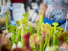1253img_9720_08_06_2017