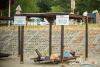 0445IMG_9687_wynik