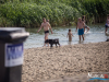 1724img_5752