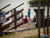 1728img_5782