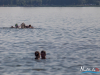 1728img_0433