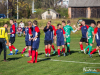 1232img_7168