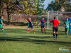 1313img_7217