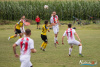 1726IMG_0885_wynik