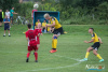 1504IMG_3110_wynik