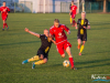 1636img_7335