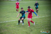 1520IMG_1779_wynik