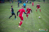 1521IMG_1785_wynik