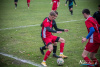1531IMG_1803_wynik