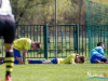 1231img_8841_04_19_2016