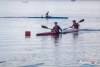 1416IMG_8695
