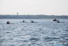 1234IMG_0191