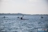 1235IMG_0193
