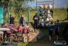 1238IMG_0227