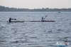 1254IMG_0271