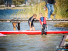 1139_img_1737_wynik