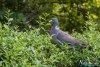 0921IMG_9368