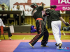 1556img_6701_wynik
