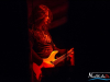 2304img_0292