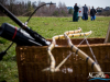 1142img_8042_04_03_2016
