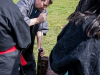 1201img_8202_04_03_2016