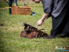 1202img_8205_04_03_2016