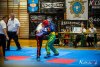 IMG_6377
