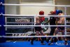 IMG_6391
