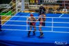 IMG_6452