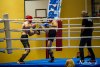 IMG_6504