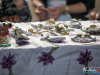 1238_img_0884