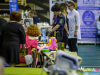 1120img_8665_04_19_2016