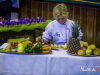 1123img_8692_04_19_2016