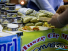 1126img_8708_04_19_2016