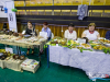 1135img_8750_04_19_2016