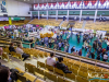 1141img_8793_04_19_2016