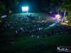 2112img_0239_08_29_2015