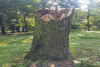 110308781_2713978462220838_6120558065428077458_o_wynik