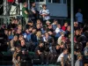 1653IMG_1826_wynik