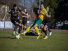 1513IMG_6590_wynik