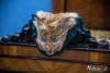 1639IMG_7951
