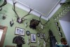 1653IMG_8034