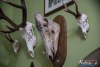 1653IMG_8040